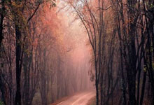 Kaiyuan-皇马客场不敌马拉加，赛季前三次失利的简单介绍