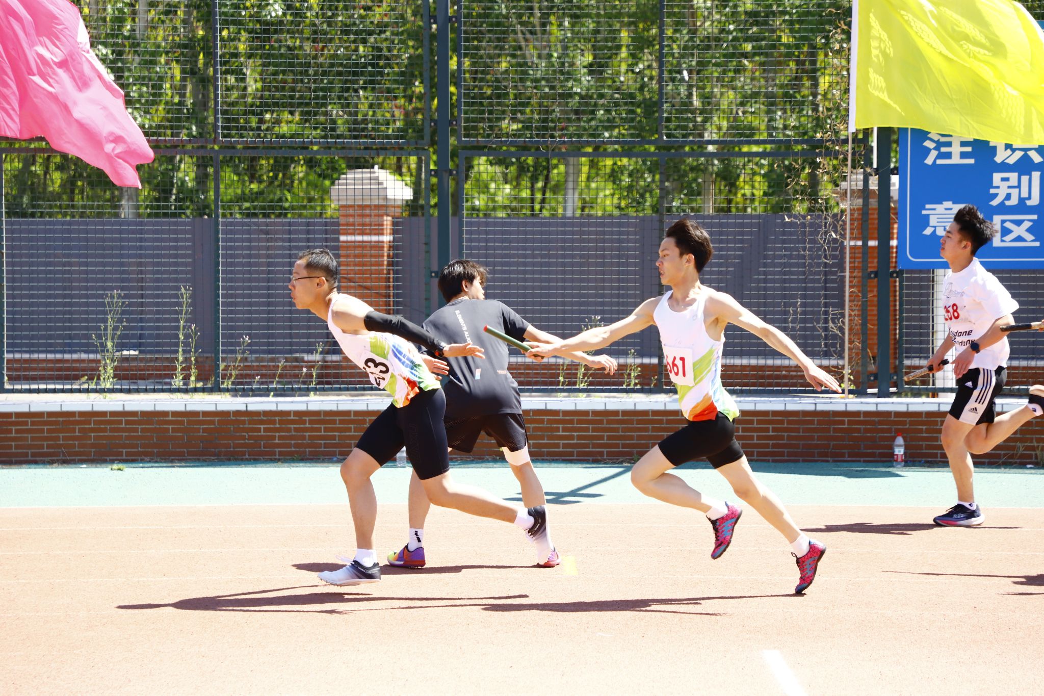 体育竞技风采展现畅游运动场上尽展风采 体育竞技风采展现畅游运动场上尽展风采