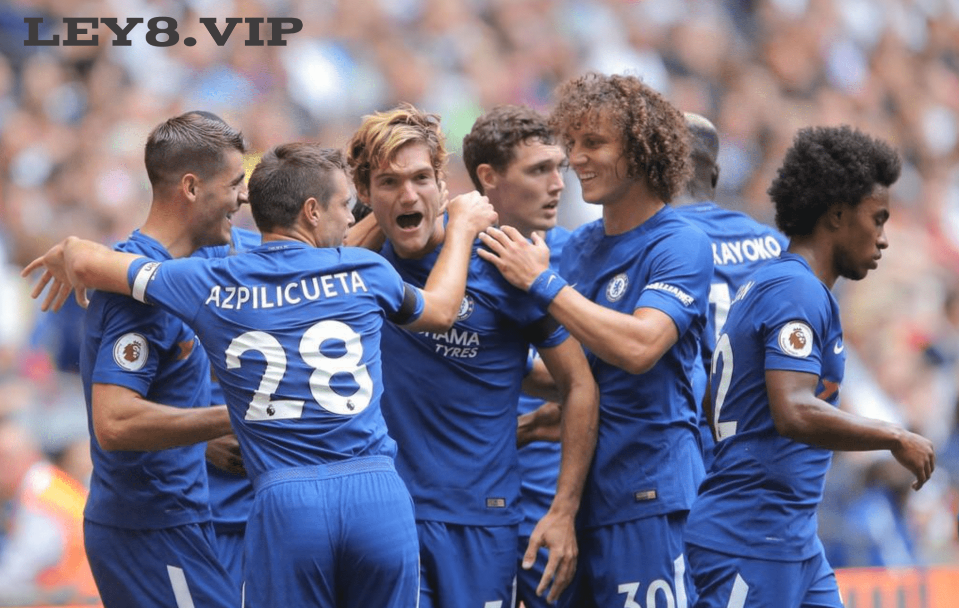 切尔西大胜尼克斯,取得胜利 切尔西大胜尼克斯,取得胜利