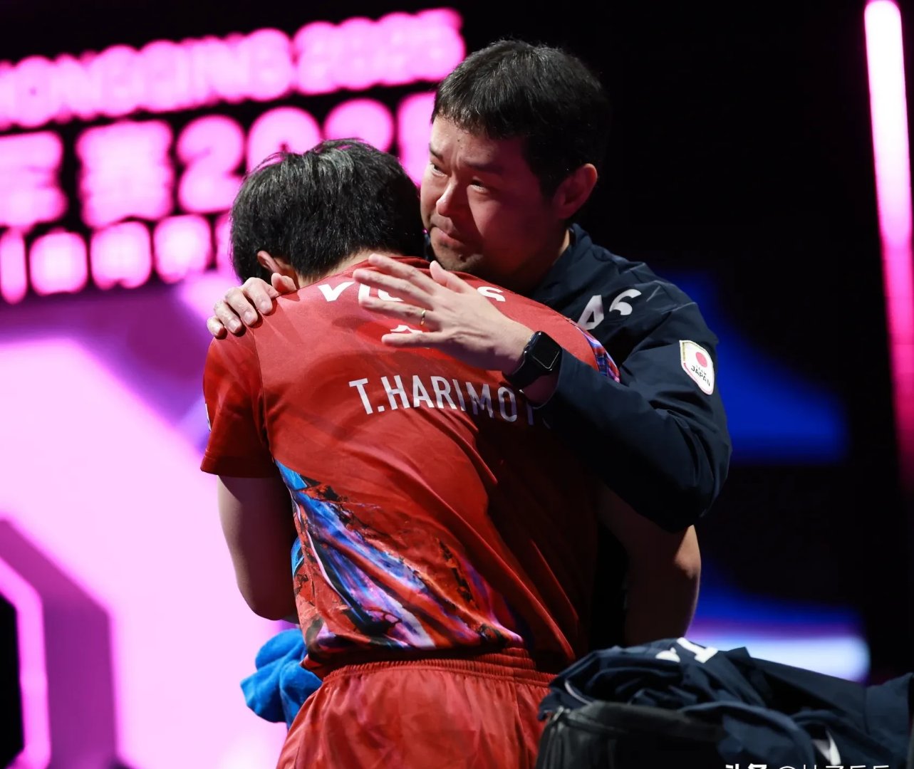 关于波兰队碾压瑞典队，张本智和统治全场的信息