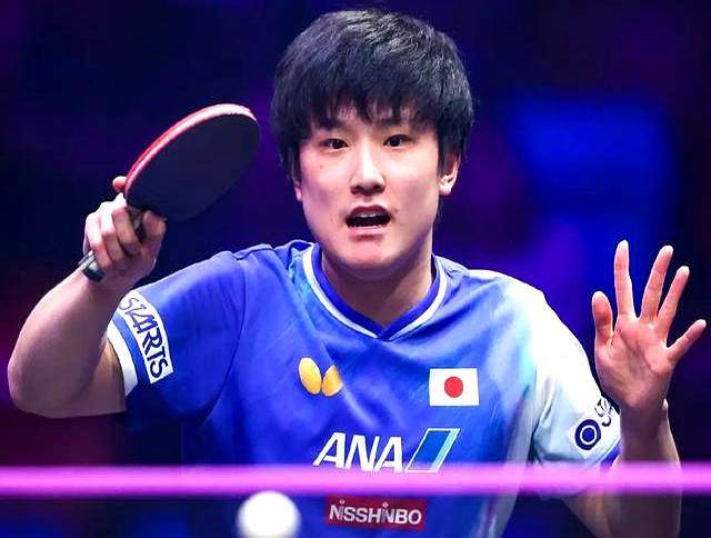 包含法国队力克波兰队，张本智和点燃赛场的词条