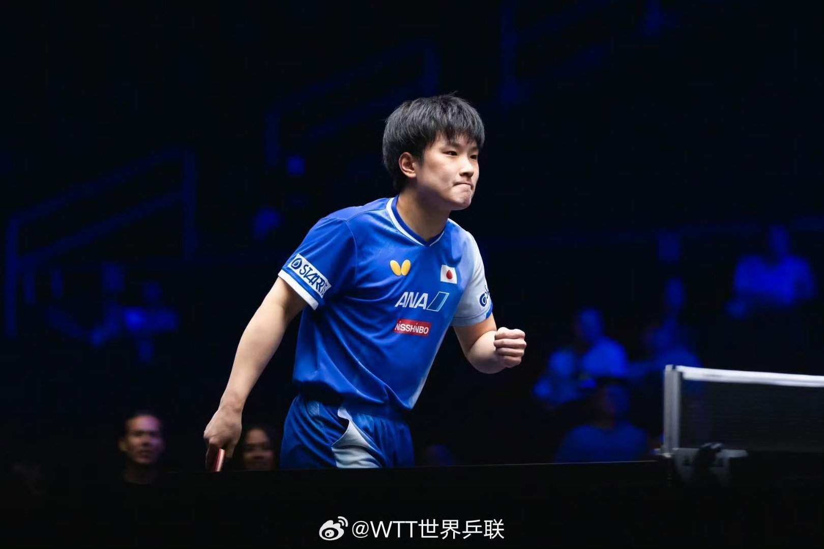 包含法国队力克波兰队，张本智和点燃赛场的词条